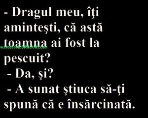 adevar 100%
